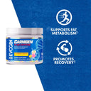 Carnigen Plus Carnitine Powder - Unmatched Kicks-Evogen
