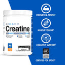 Creatine Monohydrate - Unmatched Kicks-Evogen