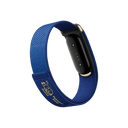 Google Fitbit Air Special Edition Pokémon Sleep - Unmatched Supply-Google Fit