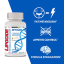 Lipocide 60ct - Unmatched Kicks-Evogen