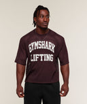 Mesh Oversized T-Shirt boxy fit Cherry Purple/Soft White - Unmatched Supply-GYMSHARK