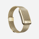 WHOOP 5.0 Meridian Gold (Band Only) - Unmatched Kicks-whoop