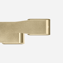 WHOOP 5.0 Meridian Gold (Band Only) - Unmatched Kicks-whoop